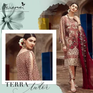 Beutifull Seren Chiffon Dress Model# C 1636