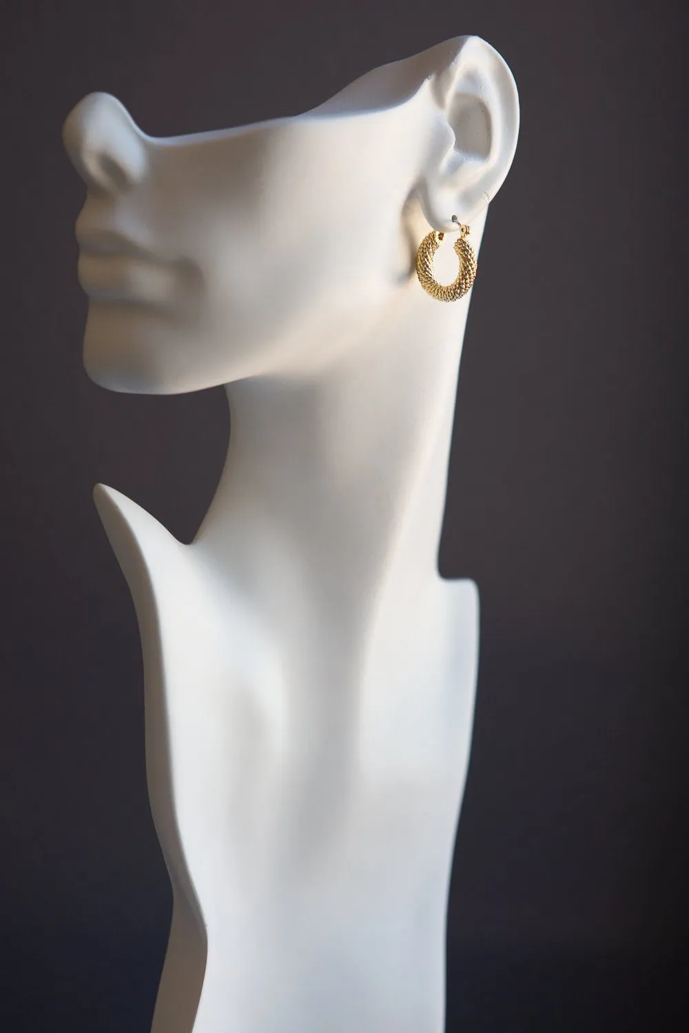 Braided Twist Hoop Earrings (Gold)