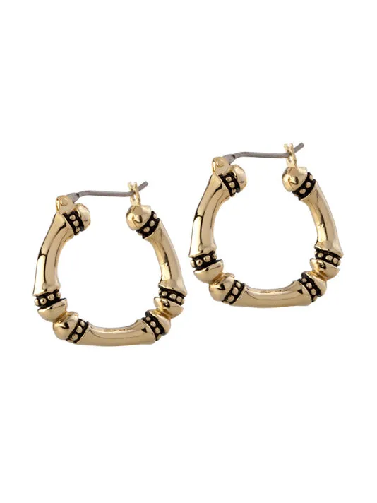 Canias Gold Medium Hoop Earrings