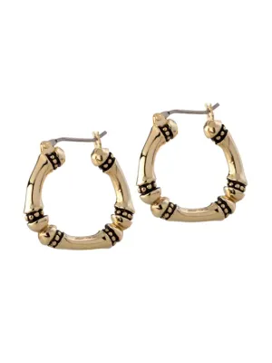 Canias Gold Medium Hoop Earrings