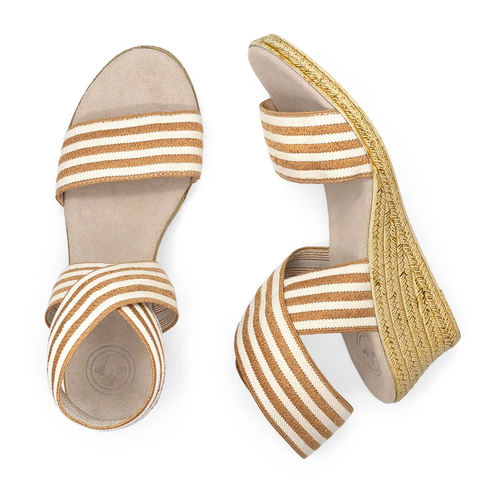 Carolina Stripe