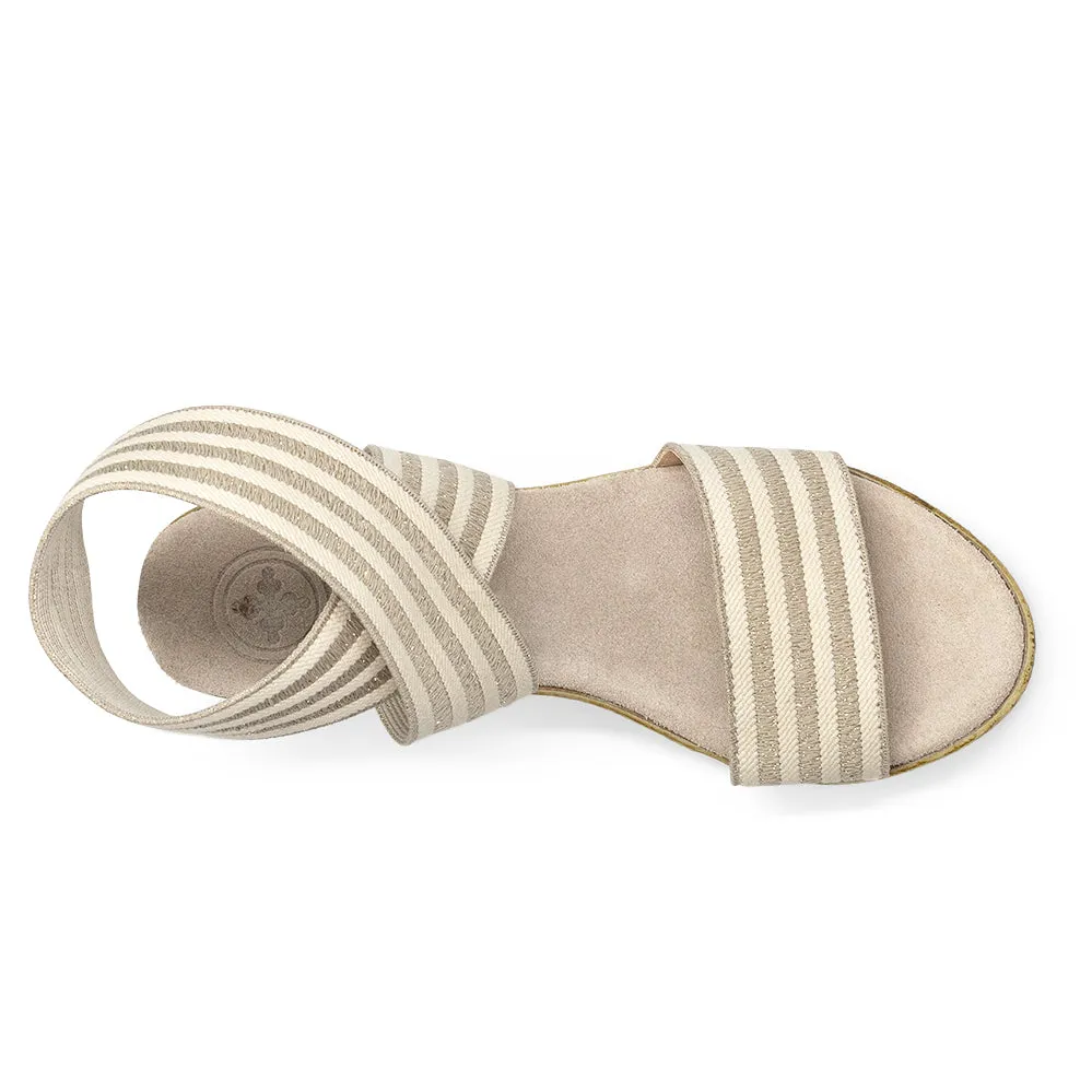 Carolina Stripe