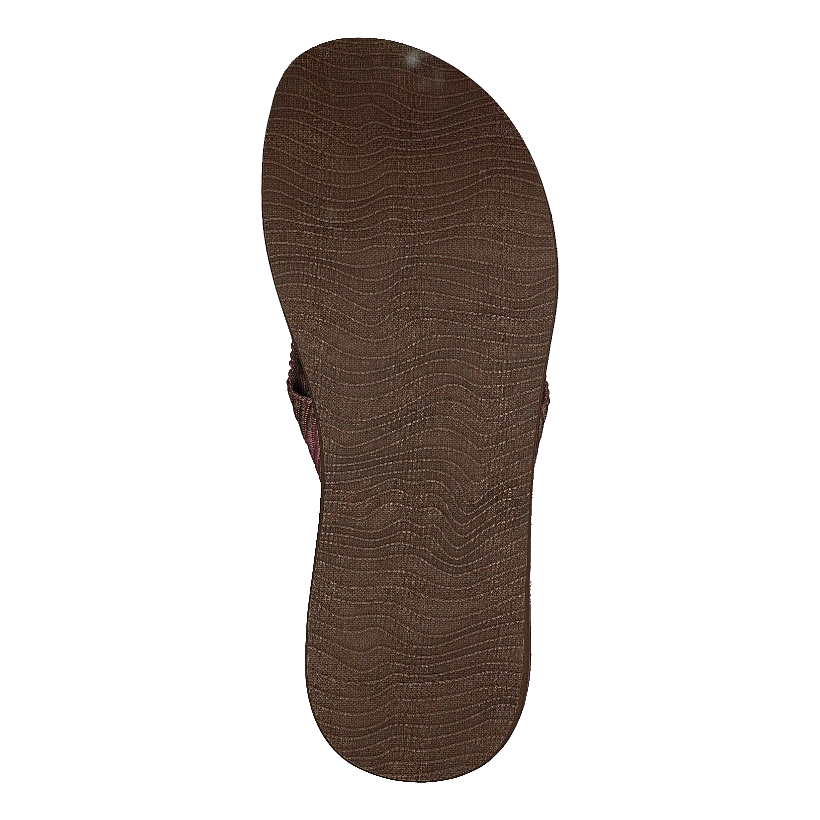 Ci6719 Reef Spring Woven Rose