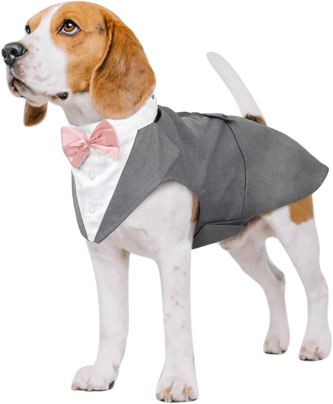 Dog Tuxedo Dog Suit and Bandana Set, Dogs Tuxedo