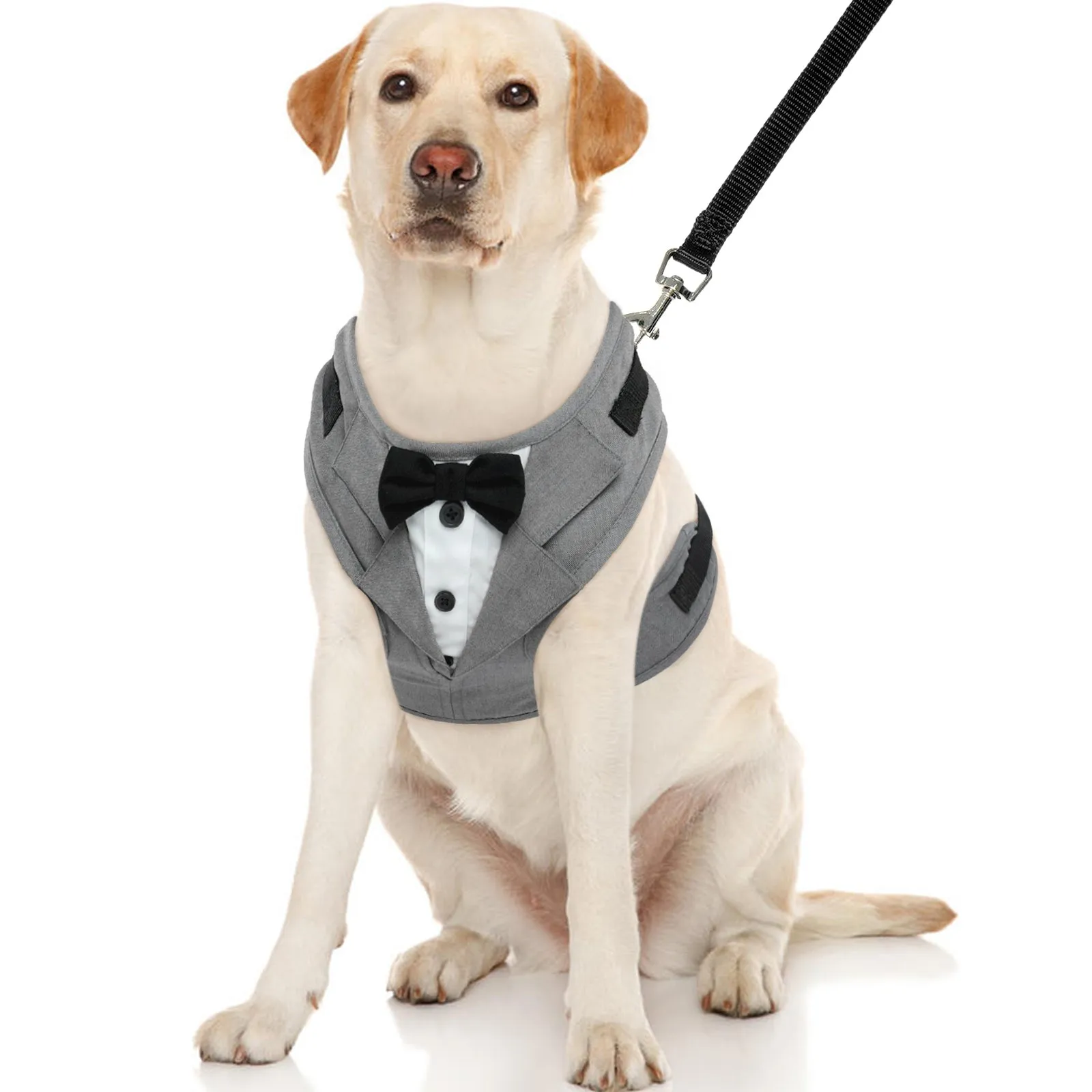 Dog Tuxedo Harness, Adjustable Dog Harness