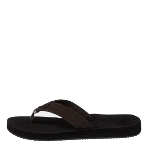 Left Coasta Brown/brown/brown