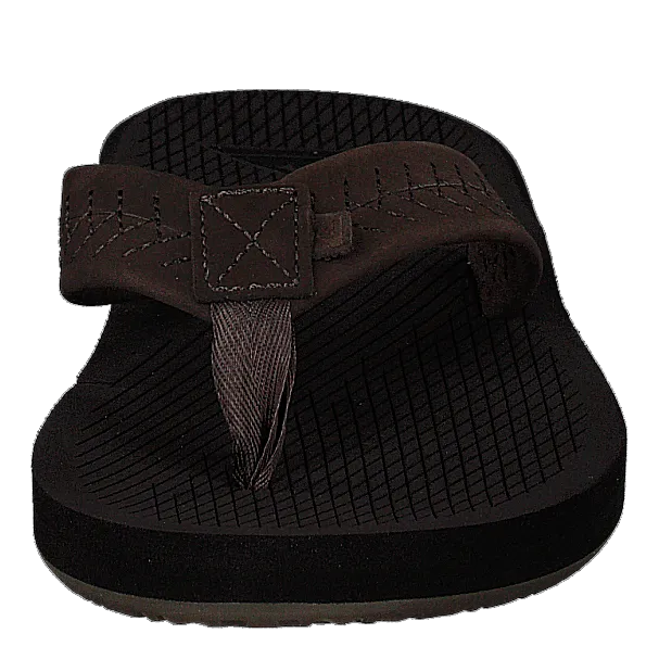 Left Coasta Brown/brown/brown