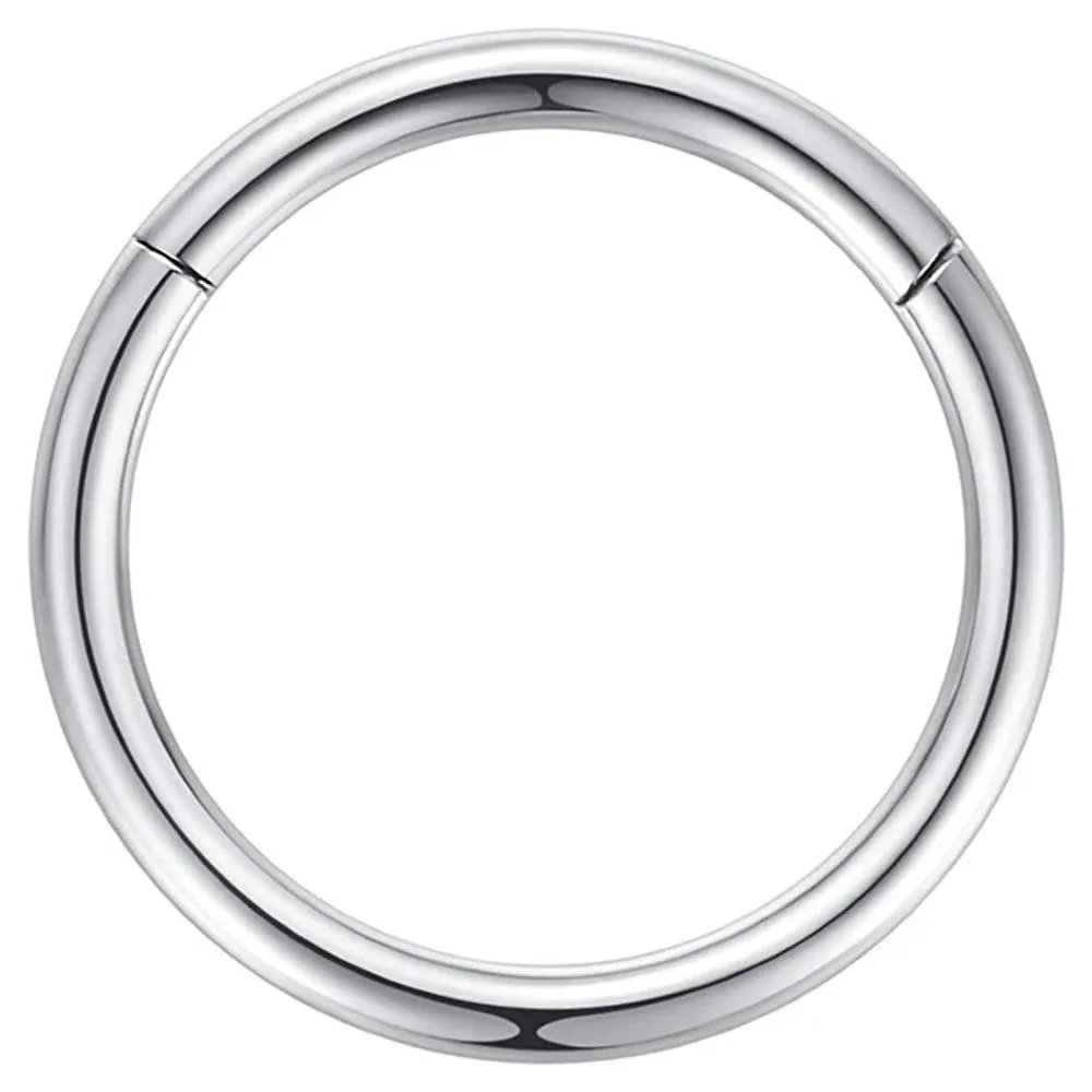ORANGELOVE Hypoallergenic Nose Rings 20G 18G 16G 14G 12G 10G 8G 316l Surgical Steel Septum Jewelry Hinged Segment Ring Body Piercing Nose Hoop Lip Rings Nose Helix Cartilage Rook Earrings | Multiple Colors and Sizes