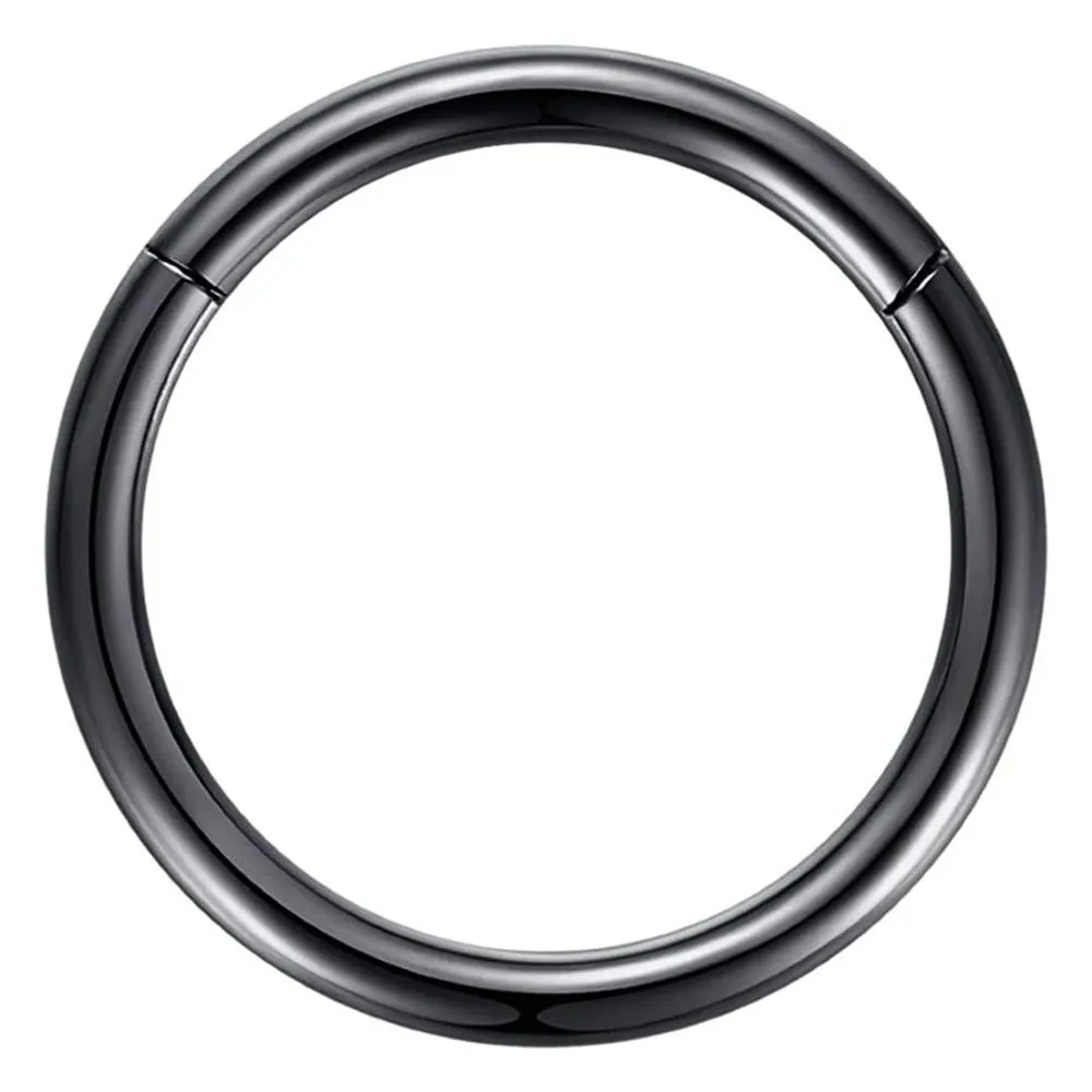 ORANGELOVE Hypoallergenic Nose Rings 20G 18G 16G 14G 12G 10G 8G 316l Surgical Steel Septum Jewelry Hinged Segment Ring Body Piercing Nose Hoop Lip Rings Nose Helix Cartilage Rook Earrings | Multiple Colors and Sizes
