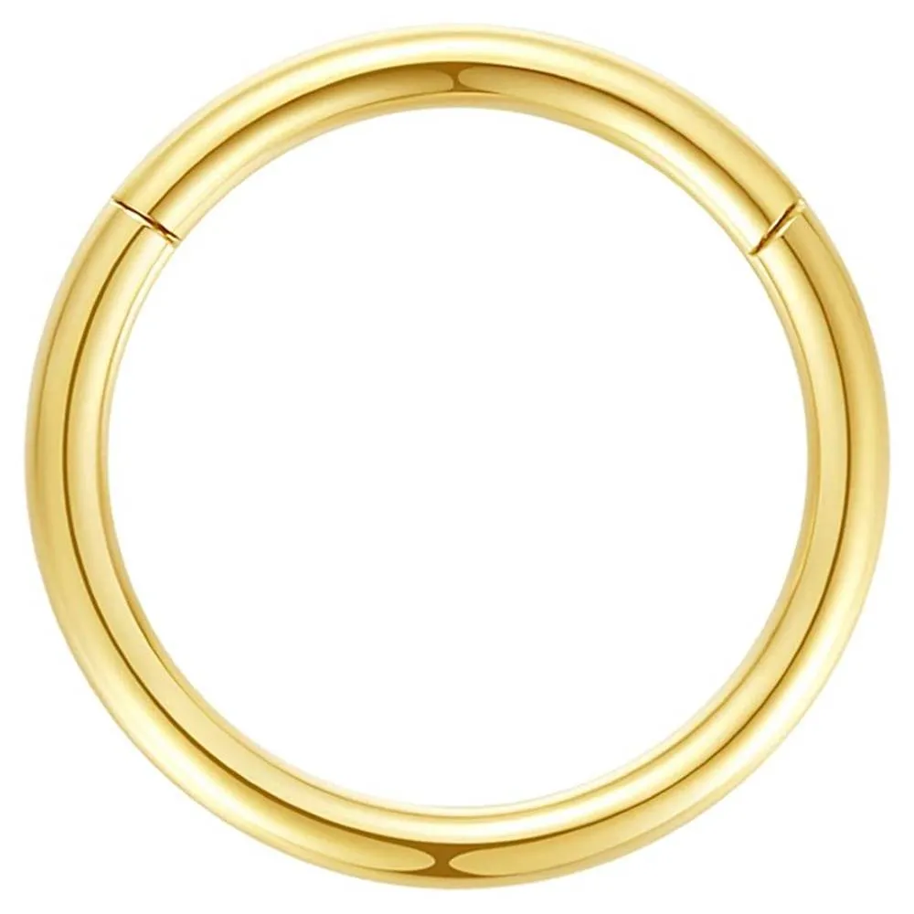 ORANGELOVE Hypoallergenic Nose Rings 20G 18G 16G 14G 12G 10G 8G 316l Surgical Steel Septum Jewelry Hinged Segment Ring Body Piercing Nose Hoop Lip Rings Nose Helix Cartilage Rook Earrings | Multiple Colors and Sizes