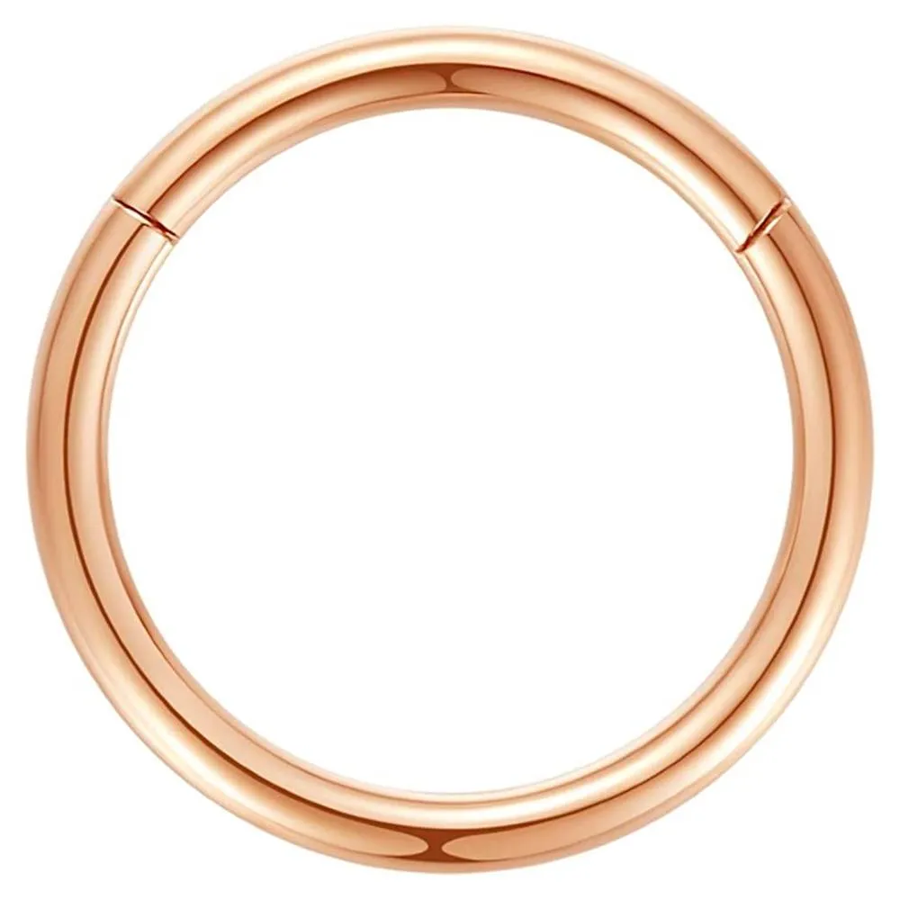ORANGELOVE Hypoallergenic Nose Rings 20G 18G 16G 14G 12G 10G 8G 316l Surgical Steel Septum Jewelry Hinged Segment Ring Body Piercing Nose Hoop Lip Rings Nose Helix Cartilage Rook Earrings | Multiple Colors and Sizes