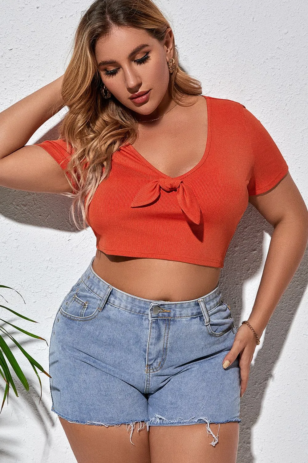 Plus Size Tied Plunge Cropped T-Shirt