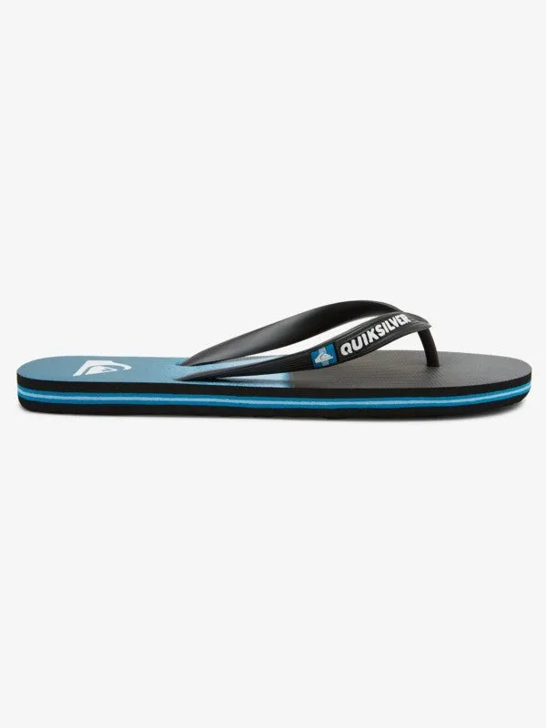 Quiksilver Mens Molokai Slab