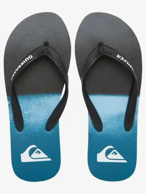 Quiksilver Mens Molokai Slab