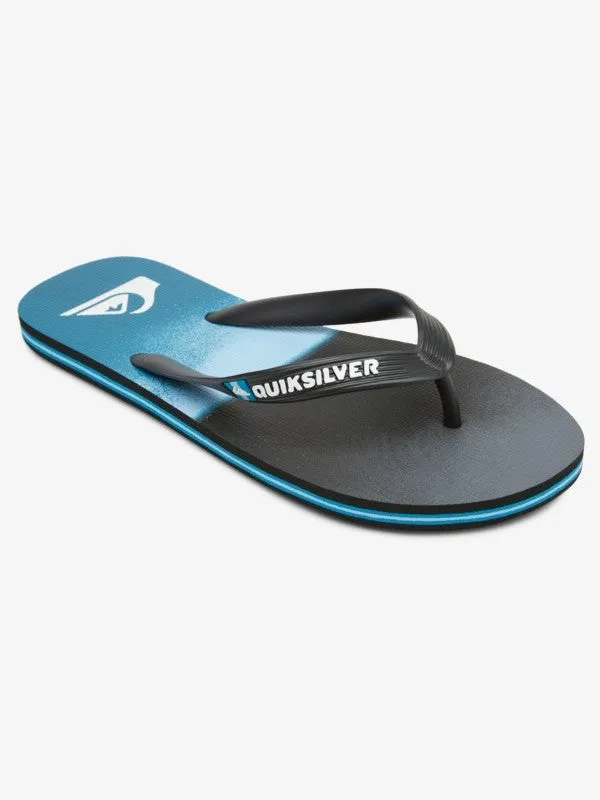 Quiksilver Mens Molokai Slab