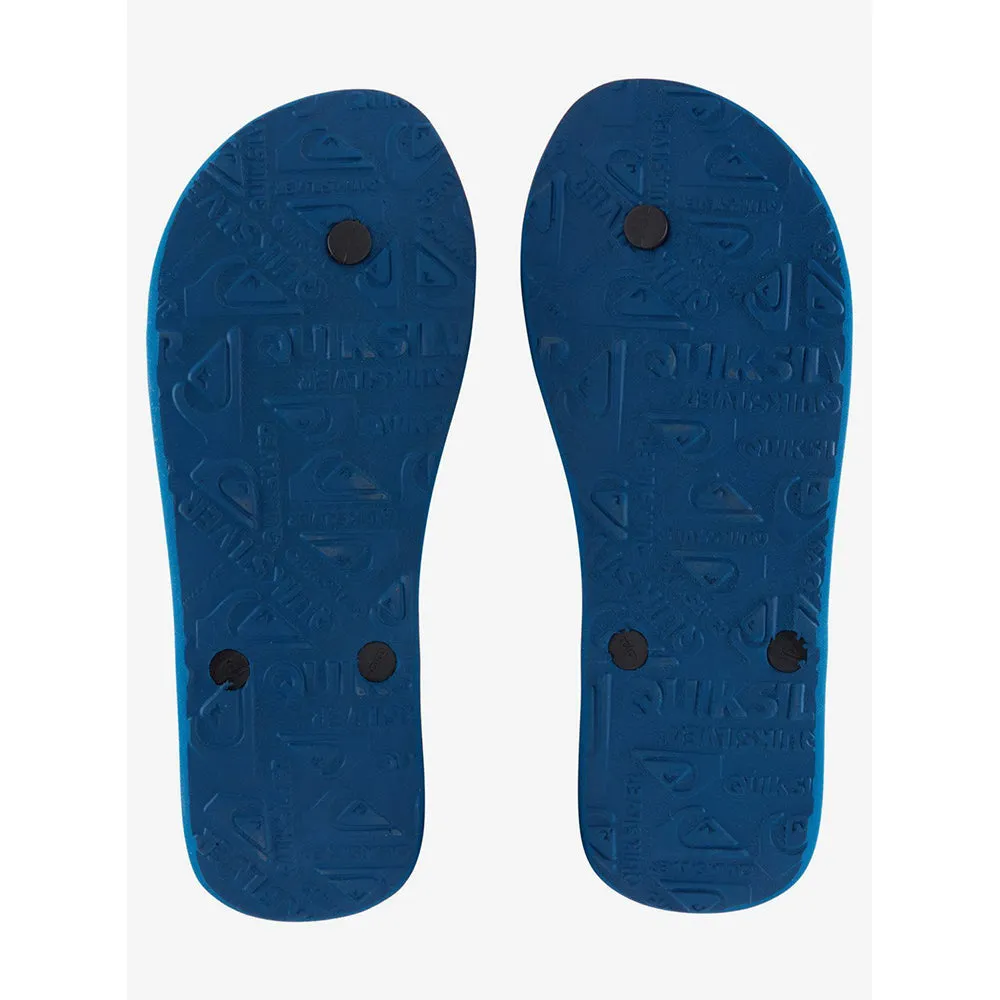 Quiksilver Molokai Resin Tint Flip Flops