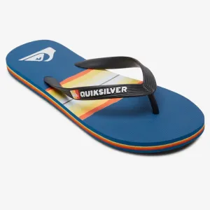 Quiksilver Molokai Resin Tint Flip Flops