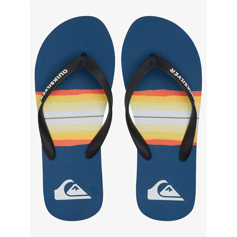 Quiksilver Molokai Resin Tint Flip Flops